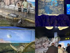 -福州罗源湾海洋世界旅游区