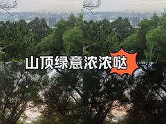 -仙岳公园