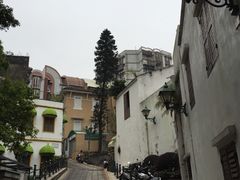 -柠檬车露(卖草地店)