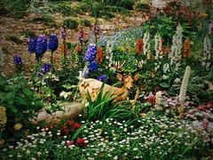 -上海共青森林公园