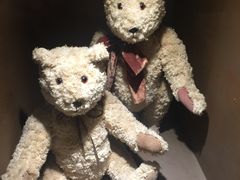 -济州岛泰迪熊博物馆