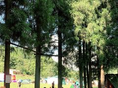 -武陵山森林公园