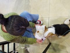 -呷哺呷哺(松江开元店)