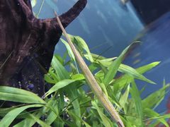 -上海海洋水族馆