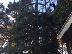 -三鹰之森吉卜力美术馆