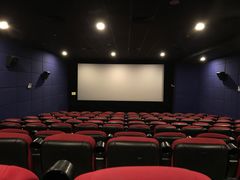 -大地影院(上海南汇店)