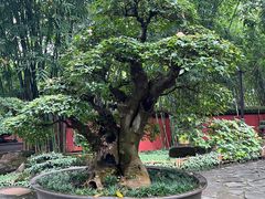 -成都武侯祠博物馆