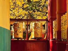 -西安市广仁寺