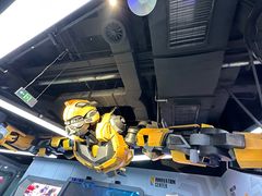 -中国宋庆龄青少年科技文化交流中心