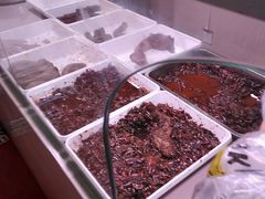 -双流兔头(成都金丝街总店)