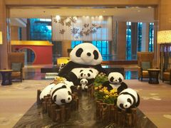 android_upload_pic-成都保利公园皇冠假日酒店(熊猫基地店)