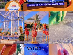 -上海玛雅海滩水公园