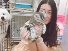 -1013 PET SHOP精品宠物商店(丁香店)