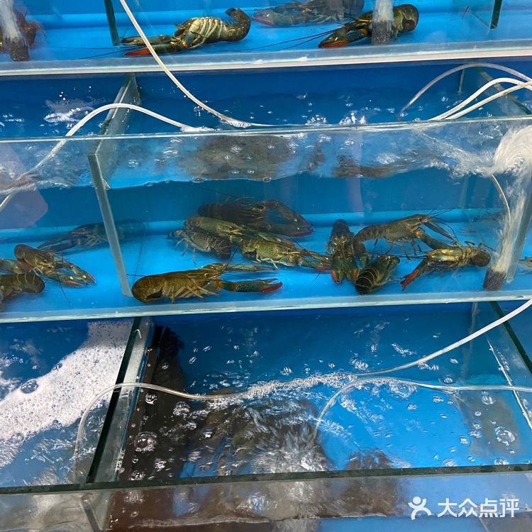 昆明首家自助海鲜粥底火锅🔥锅底不要钱‼️