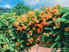 -槟城植物园