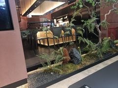 -大神太神·铁板烧(七宝领展广场店)