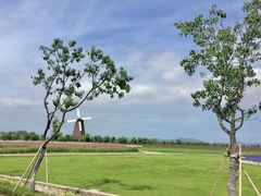 -漩门湾国家湿地公园