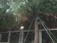 -四川大学(望江校区)