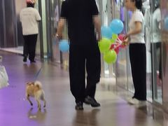 -大连凯丹广场