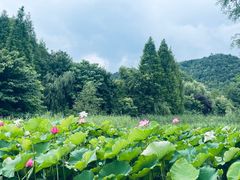 -贵阳市花溪国家城市湿地公园