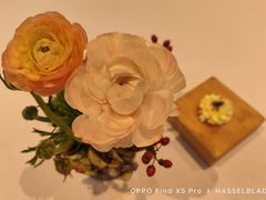 -蝶舍·MAISON PAPILLON