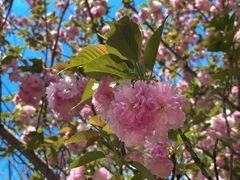 -敬亭山风景名胜区