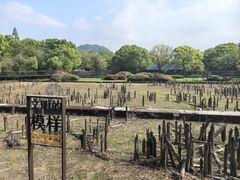 -河姆渡遗址博物馆