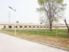 -北京群众马术培训基地