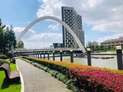 -陈家山荷花公园