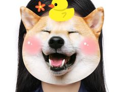 -小树照相馆·证件照(打浦桥店)