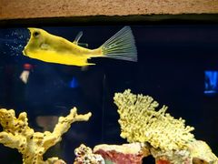 -上海海洋水族馆