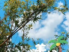 -小茶闲舍·观景商务茶馆(广州塔店)