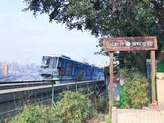 -南山植物园
