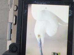 -上海海事大学(临港校区)