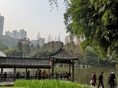 -龙头寺公园