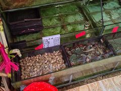 -李妹海鲜大排档(星海湾花园小区店)