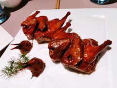 金牌妙龄乳鸽-新荣记(南京西路店)