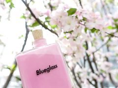 仙果瘦瘦红酒酸奶-Blueglass酸奶(财富购物中心店)