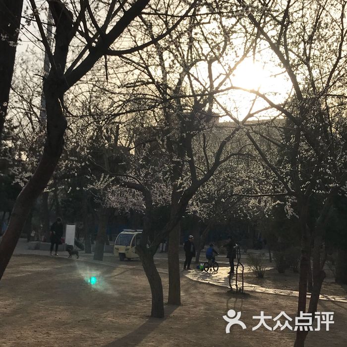 兴华公园图片-北京公园-大众点评网