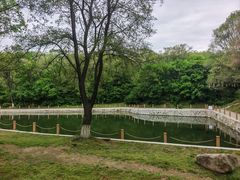 -高尔山公园