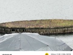 -武陵山森林公园