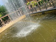 -北京呀路古热带植物园