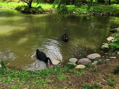 -北京麋鹿生态实验中心