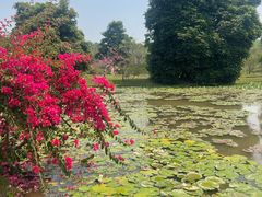 -中国科学院西双版纳热带植物园