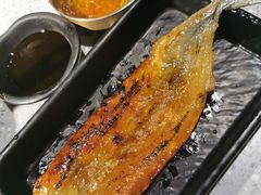 棒鱼干-吉力烤鳗