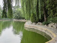 -团结湖公园