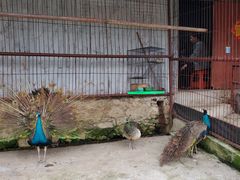 -石燕湖生态旅游景区