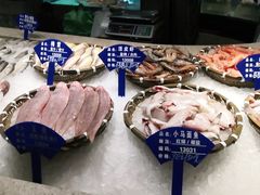 -海中洲渔社