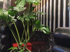 -鹿港小镇(金虹桥国际中心店)