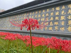 -西安大兴善寺